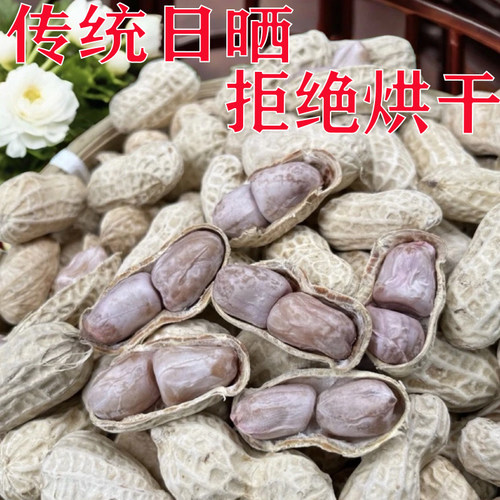 广东农村特产水煮日晒花生
