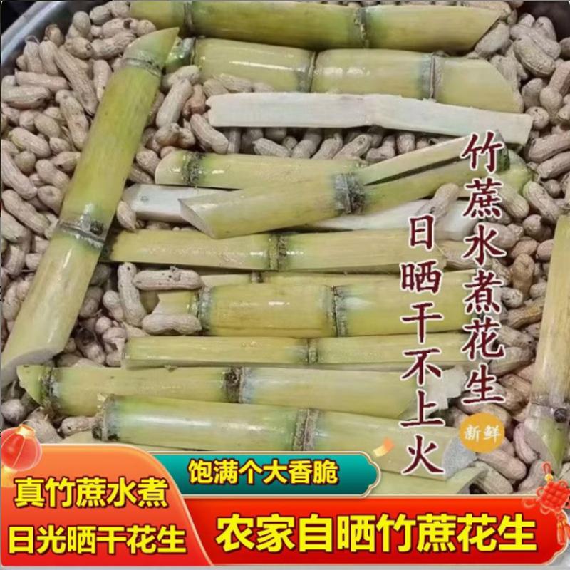 竹蔗红皮四粒红花生带壳