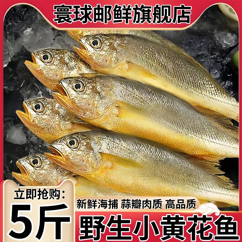 小黄花鱼新鲜冷冻5斤烧烤去头小黄花鱼活冻海鱼海鲜整箱商用批发