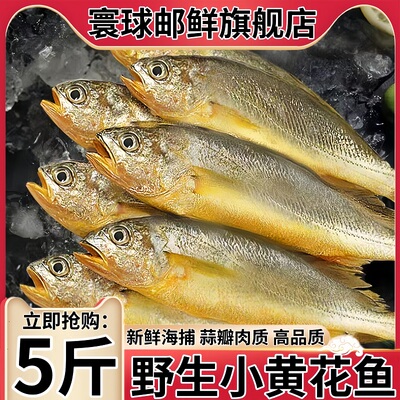 寰球邮鲜海捕新鲜冷冻小黄花鱼