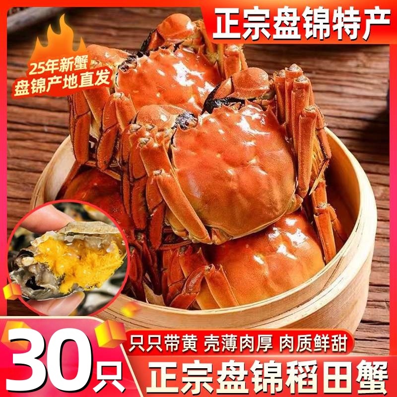 正宗盘锦河蟹大闸蟹礼盒装
