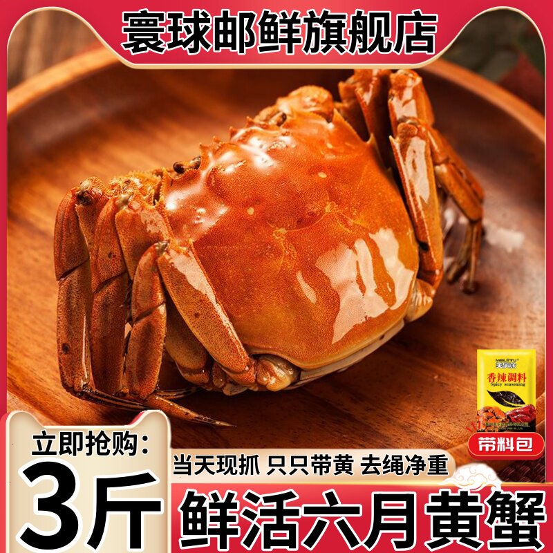 正宗盘锦六月黄河蟹大闸蟹礼盒装