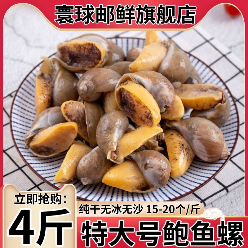 特大号黄金鲍鱼螺纯干鲜活速冻黄金鲍珍珠螺老婆脚海鲜水产商用