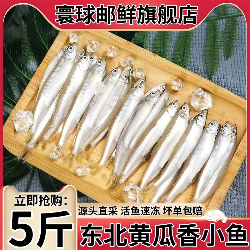 东北黄瓜香鱼鲜活冷冻小鱼当季新捕无冰春生子池沼公鱼生鲜水产