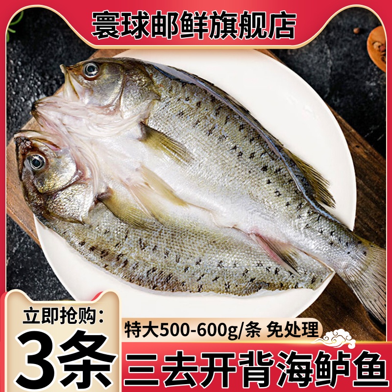 寰球邮鲜海鲈鱼开背新鲜冷冻特大