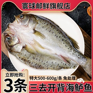 海鲈鱼开背新鲜冷冻鲜活深海鲈鱼斑鱼海鱼水产卢鱼烤鱼半成品商用