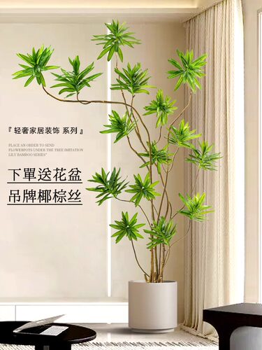 百合竹模拟绿色植物客厅大型落地式装饰盆景室内高端彷生植物假花