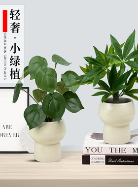 模拟花卉小装饰品盆栽植物桌面摇钱树模拟绿色植物办公室人造花装