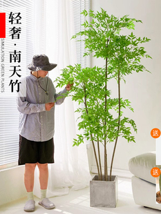 2025模拟植物南迪纳竹子落地盆栽彷生绿色植物装饰品客厅沙发侧家