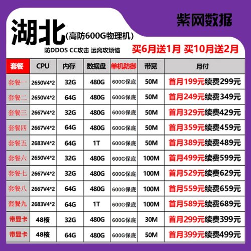 高防物理服务器租用云服务器租赁