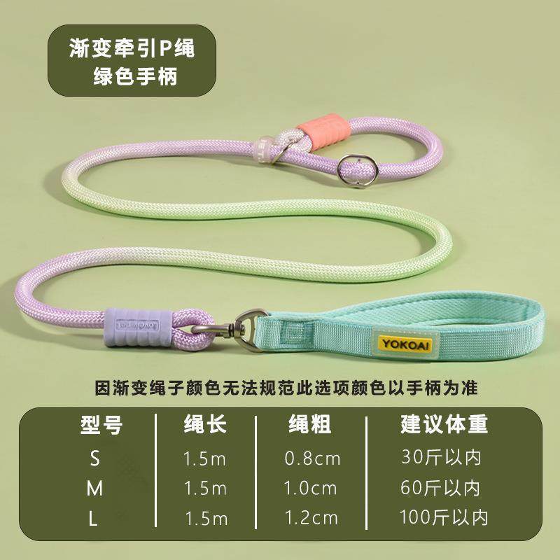 新款热卖狗狗防爆冲P绳防缠绕宠物牵引绳中大型犬防爆冲狗绳狗链