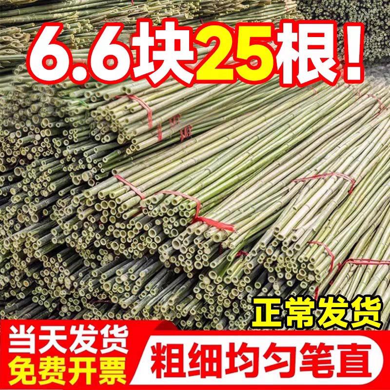 竹竿菜园搭架花园蔬菜架竹杆围栏户外毛竹篱笆防腐耐用彩旗杆竹棍