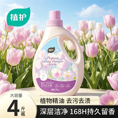 植护郁金香香水洗衣液持久留香