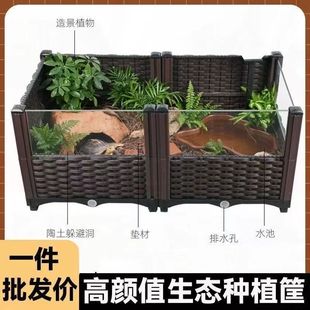 黄缘龟景观生态造景养龟专用箱陆龟半水龟小型宠物养殖箱种菜养蛙