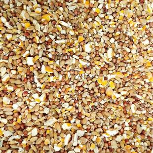 高梁麦子玉米碎喂鸡玉米粉碎渣糁鸡鸭粮食鸽子粮兔猪仓鼠家禽饲料