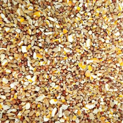 高梁麦子玉米碎喂鸡粉碎