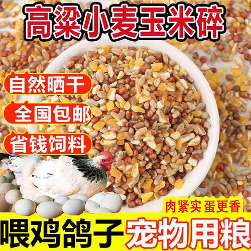 高梁麦子玉米碎混合喂鸡粮食