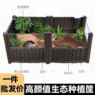 黄缘龟景观生态造景养龟专用箱陆龟半水龟小型宠物养殖箱种菜养蛙