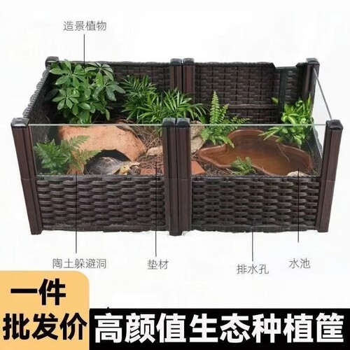黄缘龟景观专用箱生态种菜养蛙