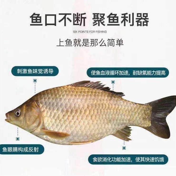 果酸酒米钓鱼鱼饵打窝米野钓饵鲫鱼鲤鱼草鱼底鱼饵渔具高温开口米