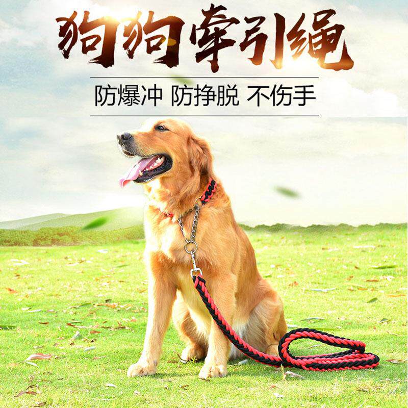狗狗牵引绳P绳宠物狗P链项圈狗链子小中大型犬八股绳手工编织狗绳