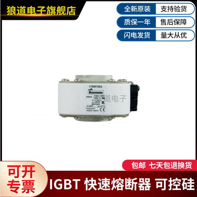 170M7083 7062 7063  4908 4115 6416  4416 4466巴斯曼熔断器
