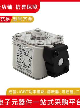 170M4921/4922/4923/4924/4925/4926/4927/4928/492/4930熔断器