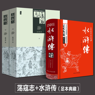 正版两册 荡寇志上下册 经典文学名著书籍 古典丛书 清代长篇小说又名结水浒传 俞万春 现代章回小说水浒后传梁山好汉结局故事续写