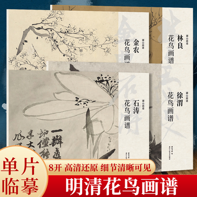 明清花鸟画谱4册 石涛金农林良徐渭花鸟画谱册页精选单片散装立轴/散页盒装高清还原/可临摹鉴赏装饰收藏国画临摹卡 湖山画谱YJ
