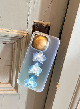 叶菽原创定制《兰栩》新中式国风国画小众高级感IMD磨砂适用苹果17/14/15/16promax夏日iPhone蝴蝶兰手机壳