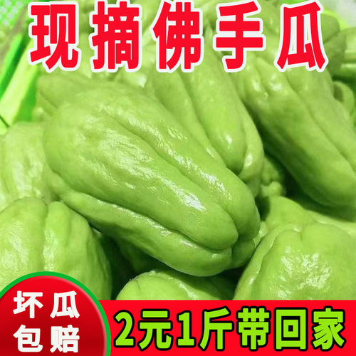 云南佛手瓜新鲜蔬菜批发坏菜包赔