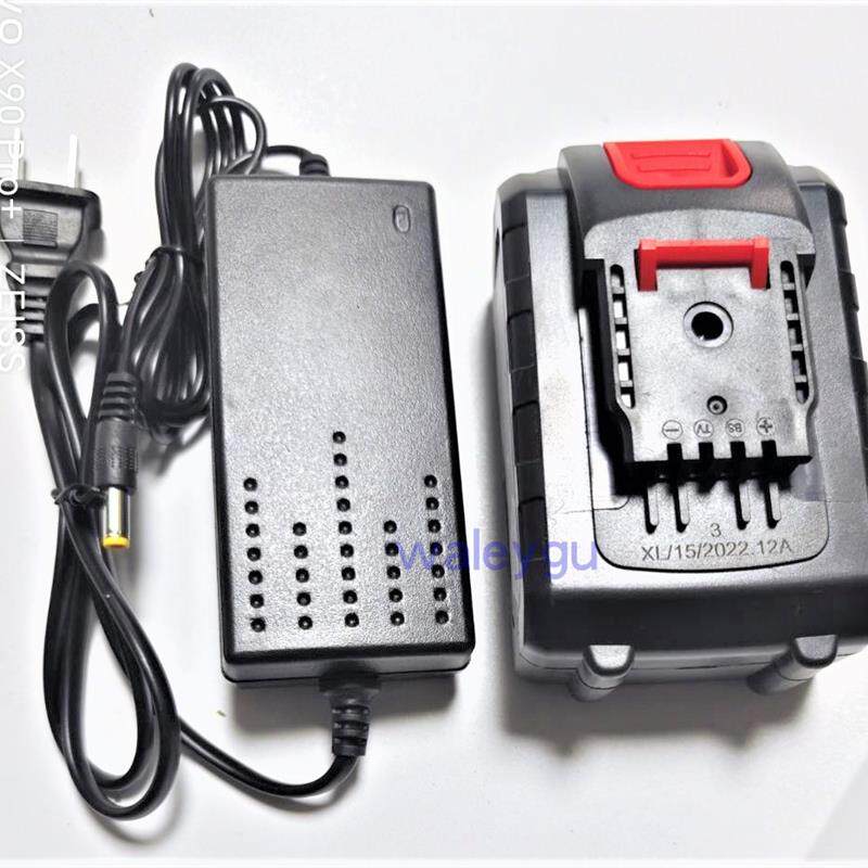 亿派 酷克斯洗车机高压无线清洗机水枪泵12V 48V 24V锂电池充电器