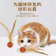 猫玩物弹力球自嗨解闷神器逗猫棒新款 运动球带羽毛猫消耗体力用品
