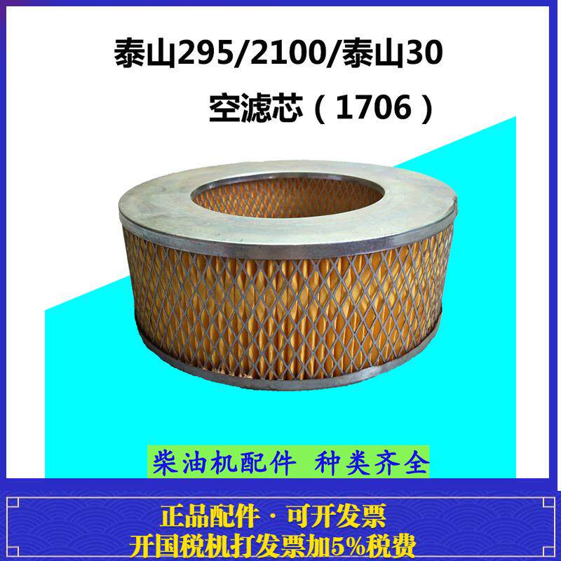 泰山295飞动2100双缸2105柴油机 干式空滤芯 船用发电机组发动机