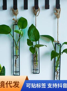 创意铁艺玻璃花瓶麻绳挂件客厅墙上壁挂水培绿萝植物容器悬挂壁饰