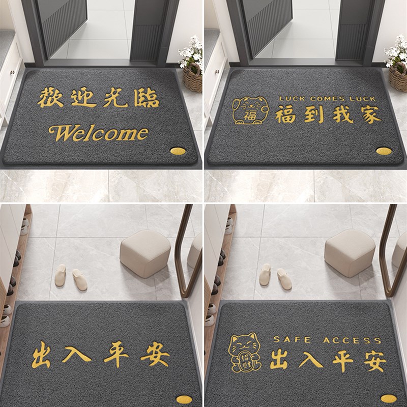 地垫入户门垫进门大门口丝圈脚垫新款耐脏门外进户门出入平安地毯