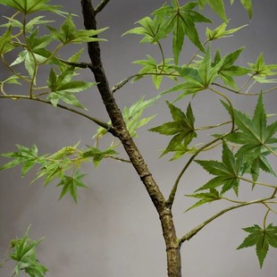 快速发货流泉枫仿真绿植假花高级古风新中式茶室装饰X禅意玄关摆