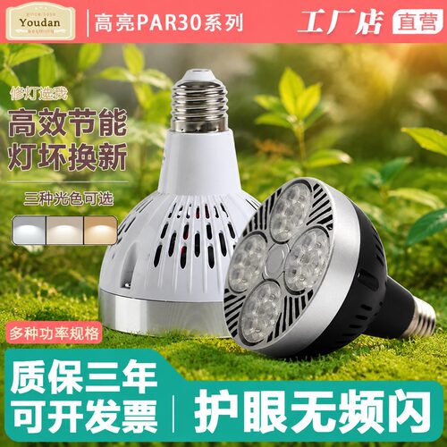 LED超亮光源PAR30轨道灯