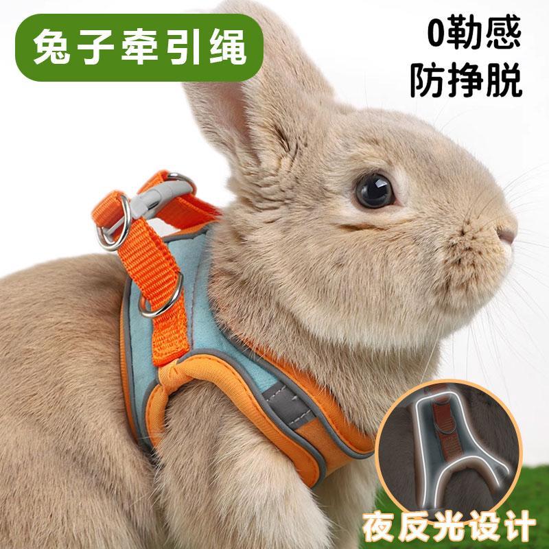 兔子牵引绳遛兔子专用防挣脱溜龙猫兔绳子遛兔绳小侏儒兔用品防咬