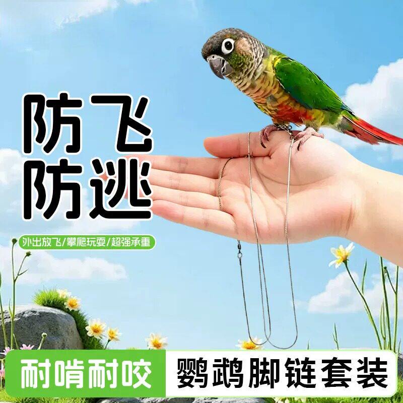 鹦鹉牵引绳小太阳专用脚链脚环和尚外出遛鸟绳鸟用放飞绳不锈钢链
