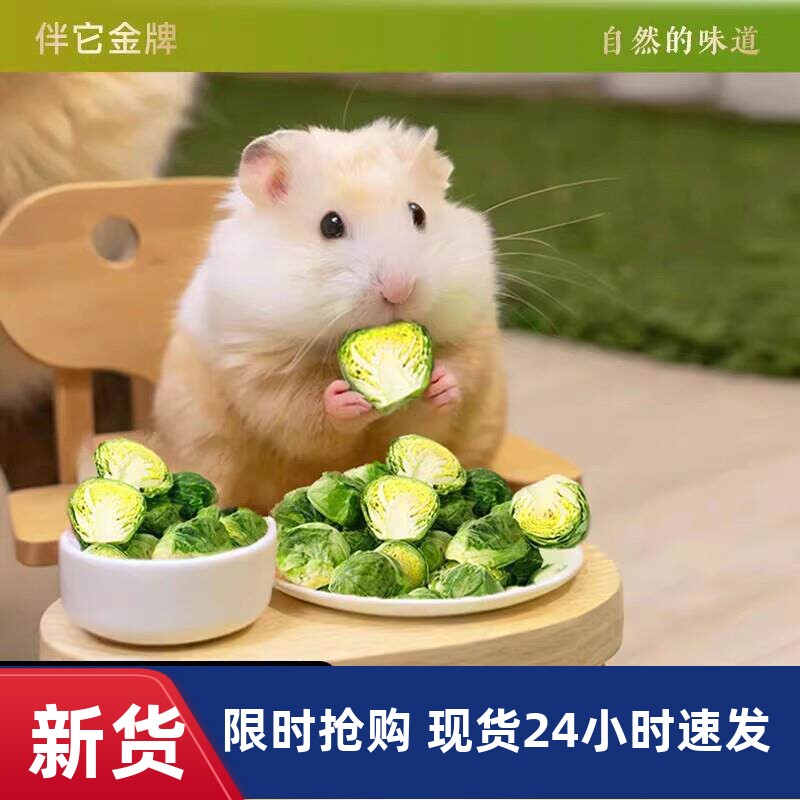 孢子甘蓝冻干仓鼠零食磨牙洁齿宠物蔬菜干金丝熊兔子饲料补充品