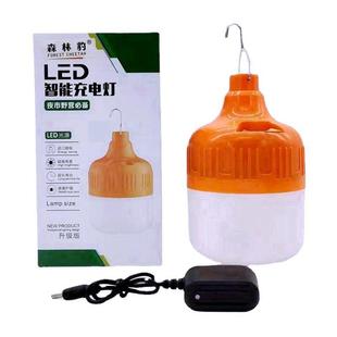 LED充电球泡灯夜市地摊照明家用停电应急球泡户外露营照明灯泡