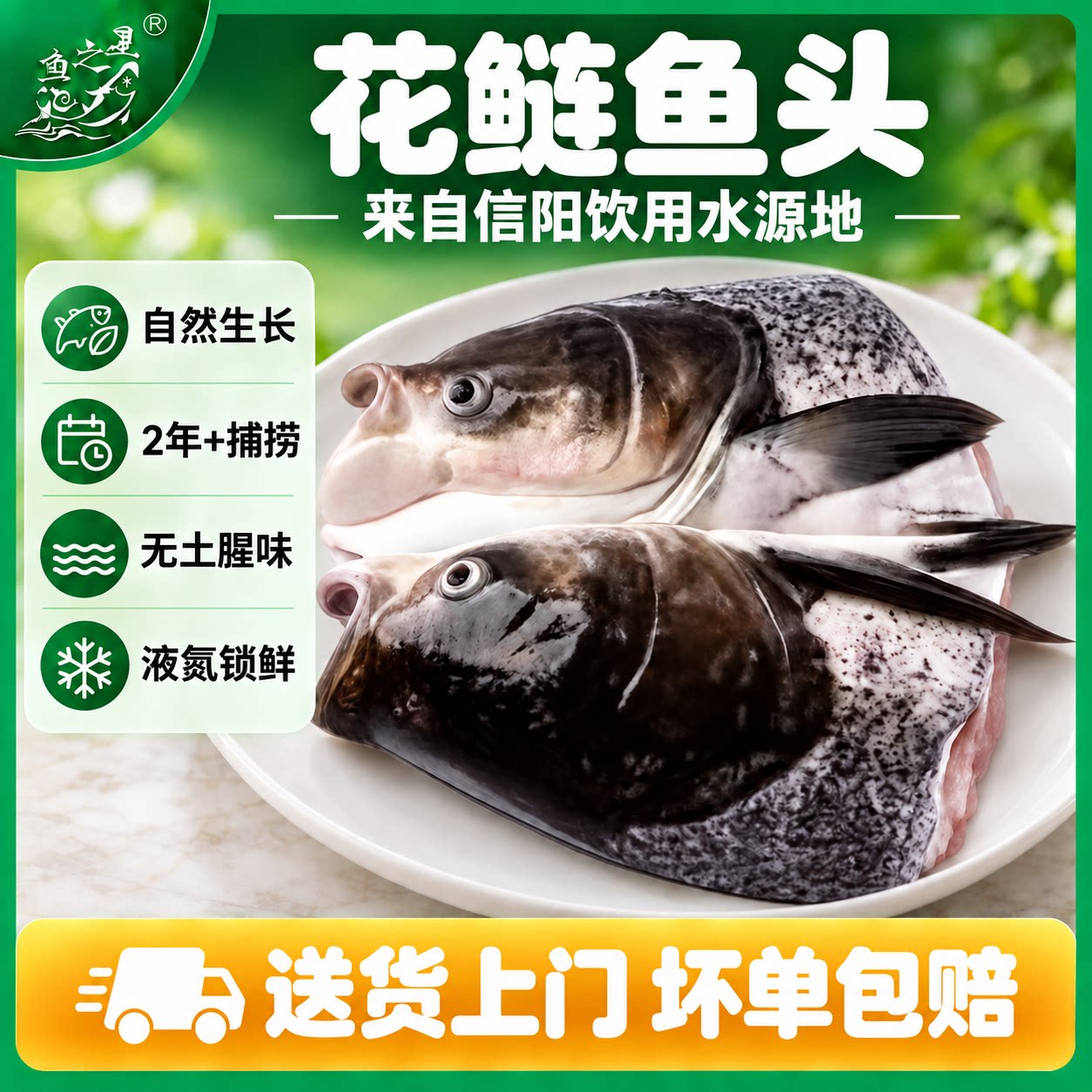 南湾湖胖头鱼鱼头国兵液氮花鲢鱼