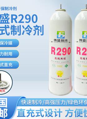 澳谦r290冷媒玩具P1冰箱制冷剂冷媒罐氟利昂针式直冲与圣弗元同款