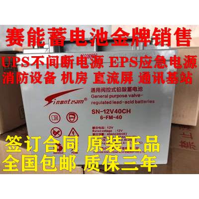 赛能蓄电池SN12V120CH100A65A40A38A24A消防应急机房直流屏UPS用