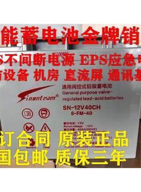 赛能蓄电池SN12V120CH100A65A40A38A24A消防应急机房直流屏UPS用