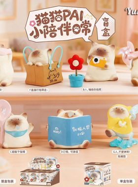小陪伴猫猫盲盒正版PAI日常摆件可爱暹罗猫桌面萌宠手办生日礼物