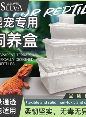 丛林代码掌上明蛛爬宠饲养盒人渣盒小宠蜈蚣蝎子蜘蛛守宫爬虫昆虫