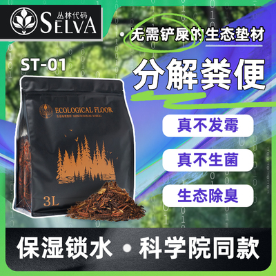 丛林代码爬宠垫材森林地表陆龟鬃狮蜥蜴蛇保湿除臭树皮造景垫料