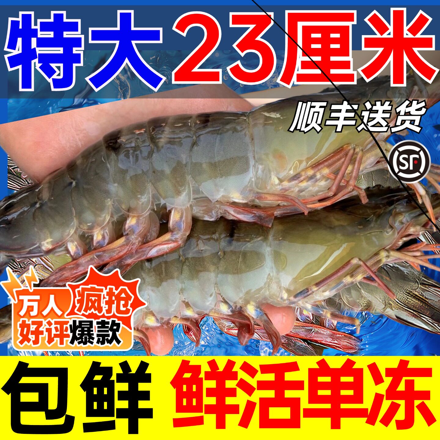大虾鲜活速冻超大特大青岛海鲜水产基围虾海捕基围虾白虾对虾新鲜